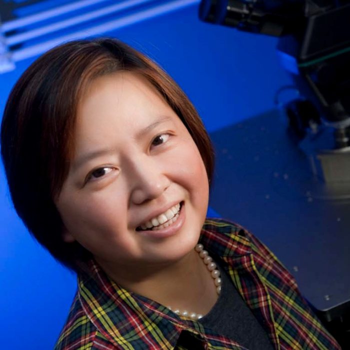 Xin Zhang
