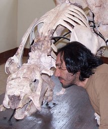 Rodolfo Salas-Gismondi