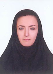 Somayeh Parichehreh Dizaji