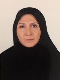 Bokharaei-Salim Farah
