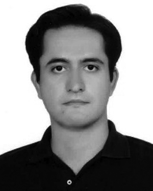 Amiri, N.