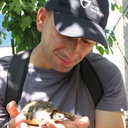 Traian Popescu