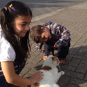 Hayam Ahmed