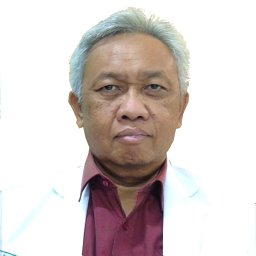 Ismail Setyopranoto