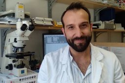 Alessandro Gambella