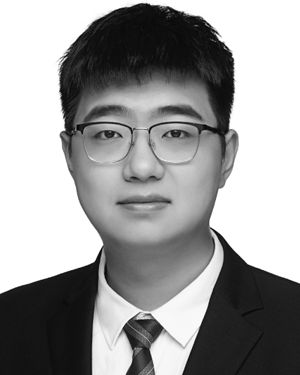 Shaowei Liu