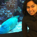 Moneisha Gokhale