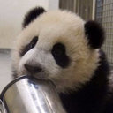Yuxi Ma