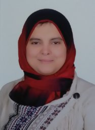 Rasha Mosa Allam