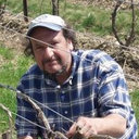 Francis Ferrandino