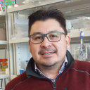 Gerardo Pavel Espino-Solis