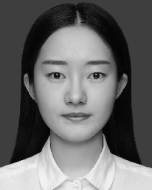 Zhang Meng