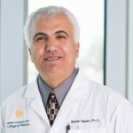 Saleh A. Naser