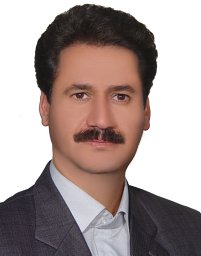 M. Mohammadian Fazli
