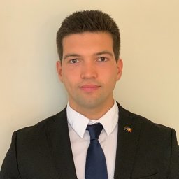 Daniel N Mitroi