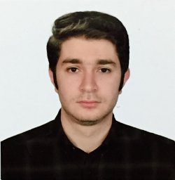 Mohammad R. Hajidavalloo