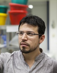 F. A. Rabanal