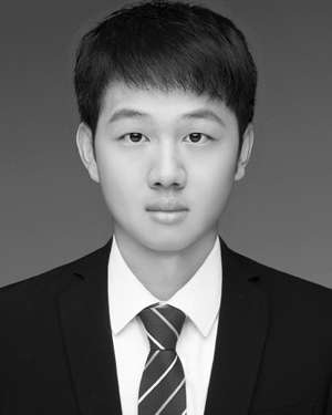 Zishuai Liu