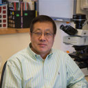 Xin Yuan