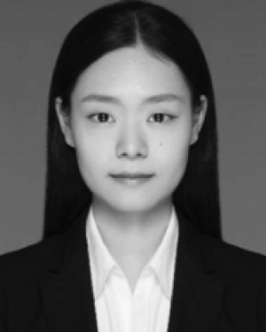 Mengya Li