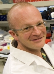 Andrew Paterson