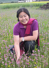 Cuifeng Du
