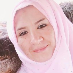 Mona N. Al-Terehi