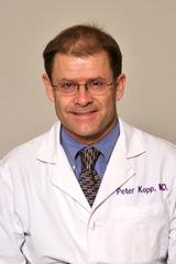 Peter A Kopp