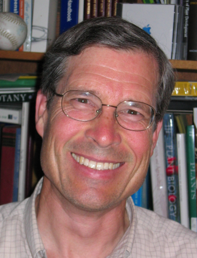 Robert Schmidt