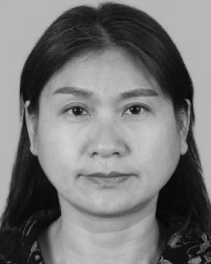 hong jun wang
