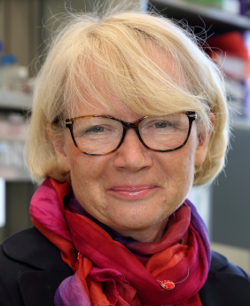 Krystyna Bieńkowska-Szewczyk