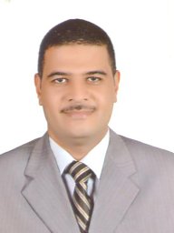 Hussein M Maghrabie