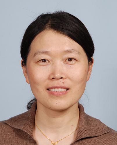 Yangyu Zhao