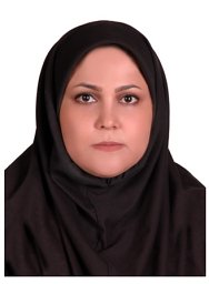 Elham Rafiei Sardooi