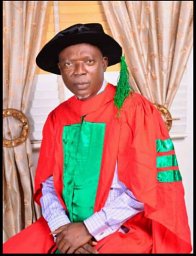Olufemi Ogunbiyi