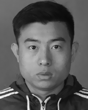 Lei Li
