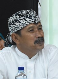 Hermanu Triwidodo