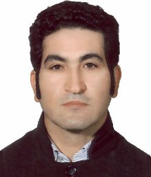 Reza Naderloo