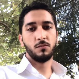 Hamid R. Nasiri