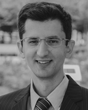 Dmitri V. Voronine