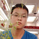 Wenguo Cai