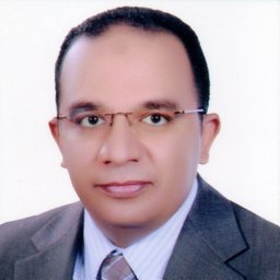 Wael M. Abdel-Mageed