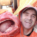 Mark Zimmermann
