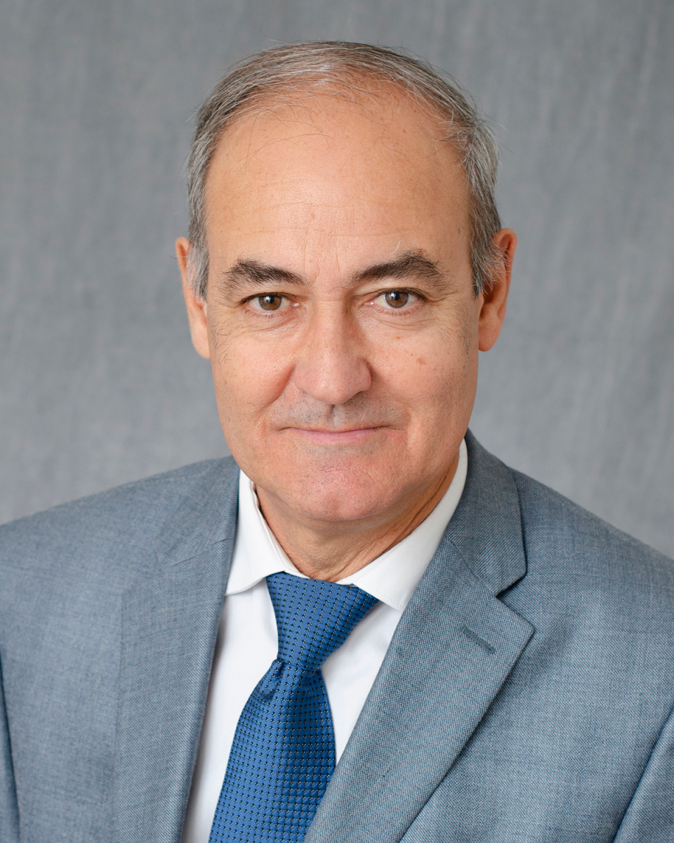 Fernando Vidal Vanaclocha