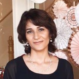 Bahare Mokarram Dorri
