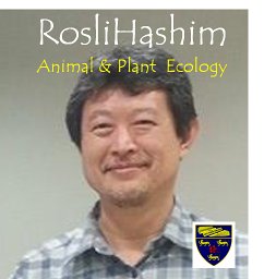 Rosli Hashim