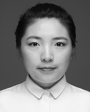 Yuan Lei