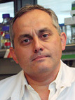Miguel A. Del Pozo