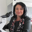 Lubomira Nikolaeva-Glomb