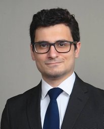 Hazem M Mousa